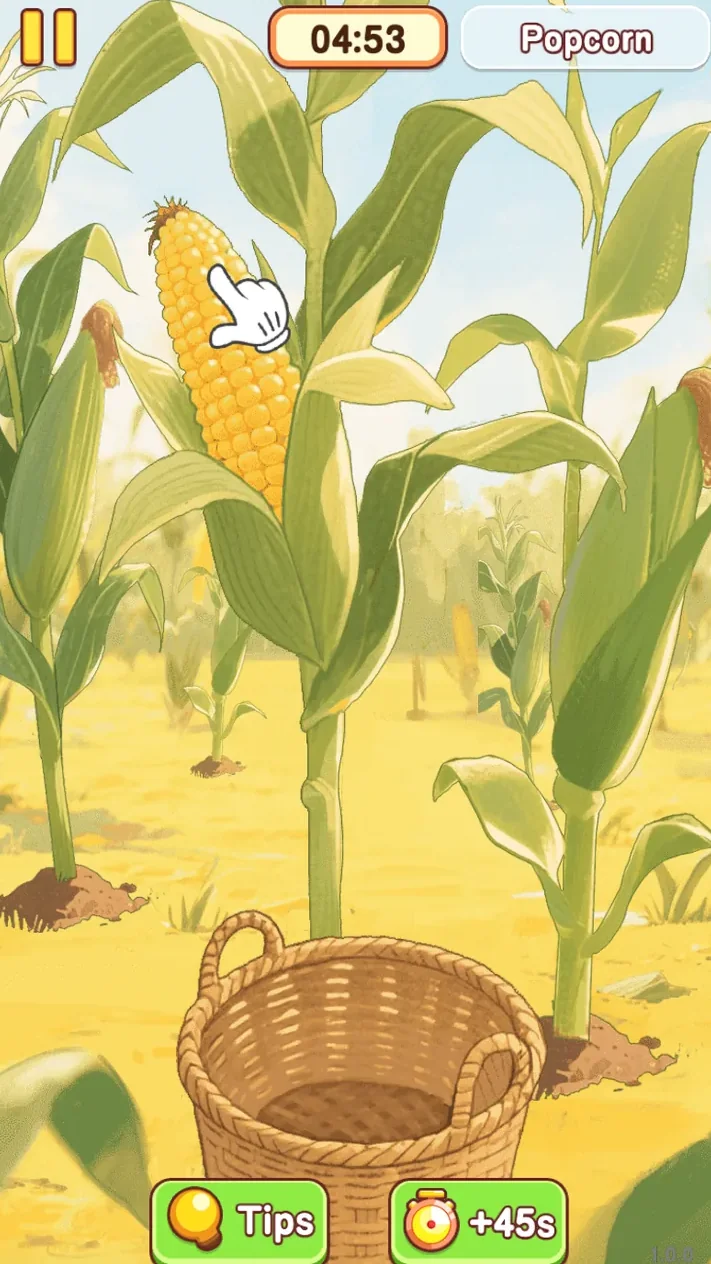 Cornfield step with a glove pointing to a ripe corn cob