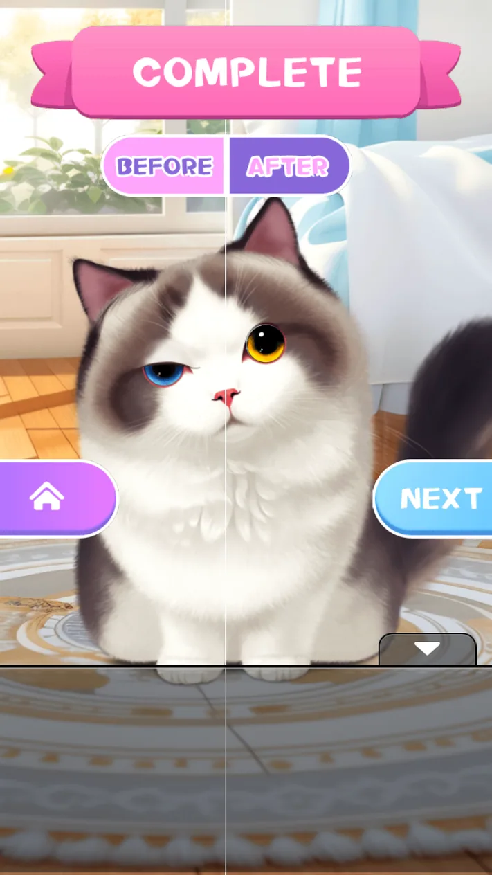 Pet Salon completed cat eye task with Before and After tabs