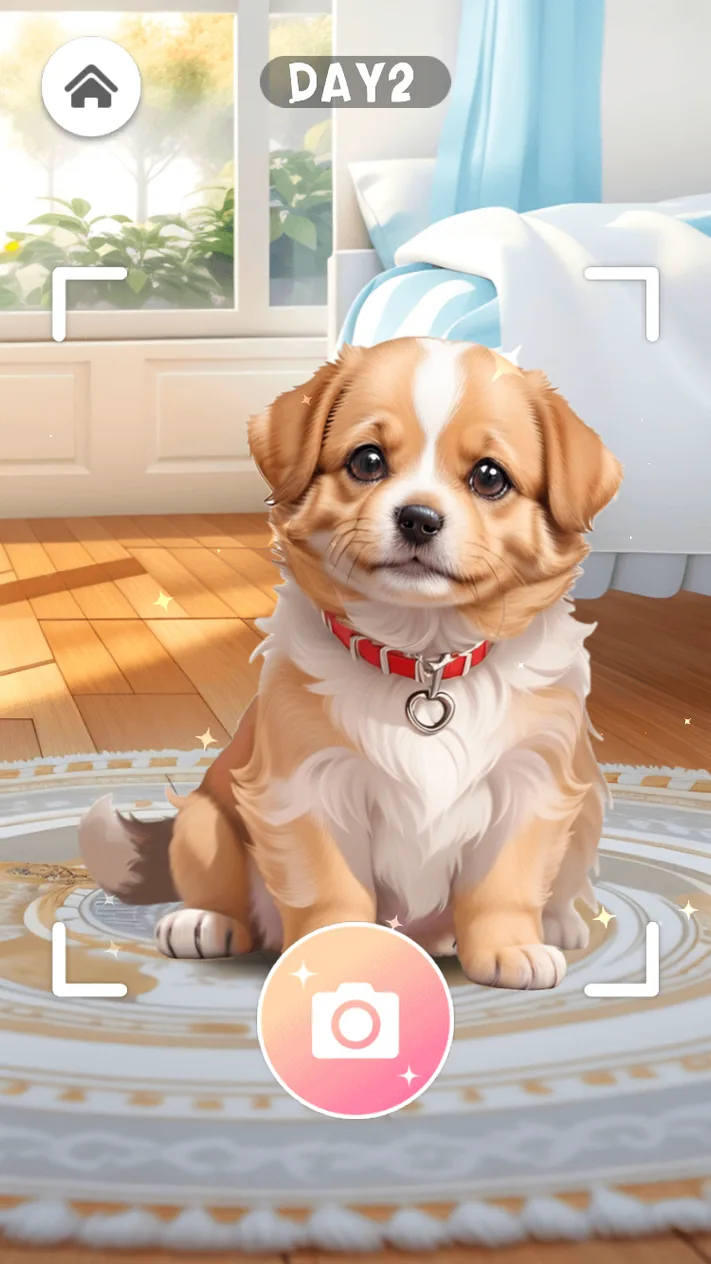 Clean Pet Salon dog sitting above a pink camera button